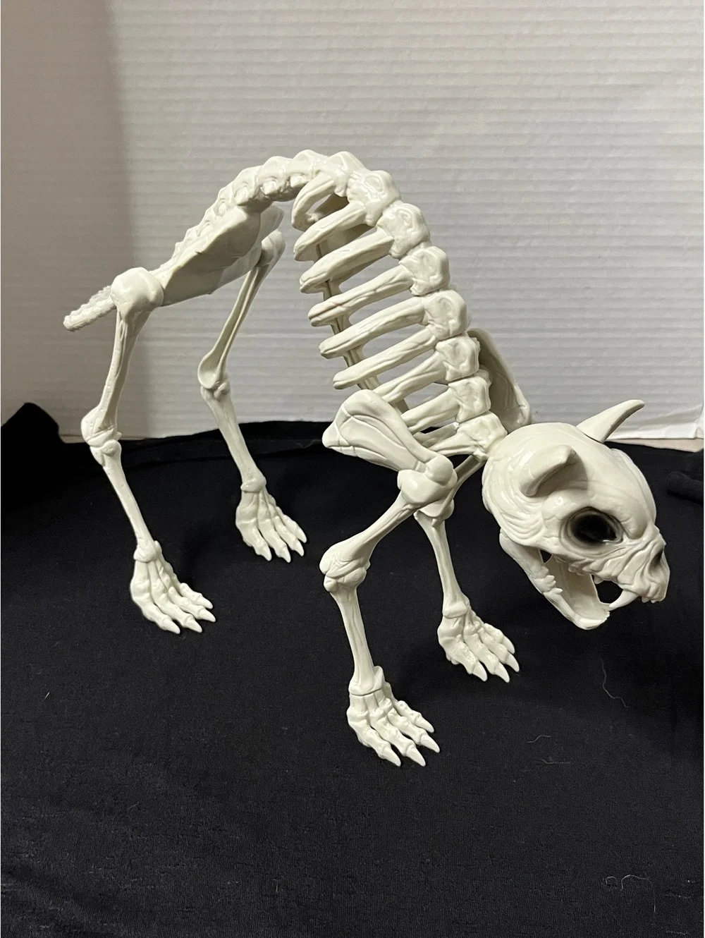 Spooky Cat Skeleton Decor - Perfect for Halloween Vibes